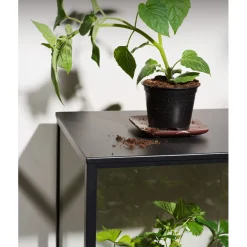 Grower Greens Växtskåp Svart 81x41x82 cm