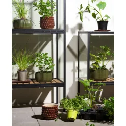 Grower Greens Växtskåp Svart 81x41x82 cm