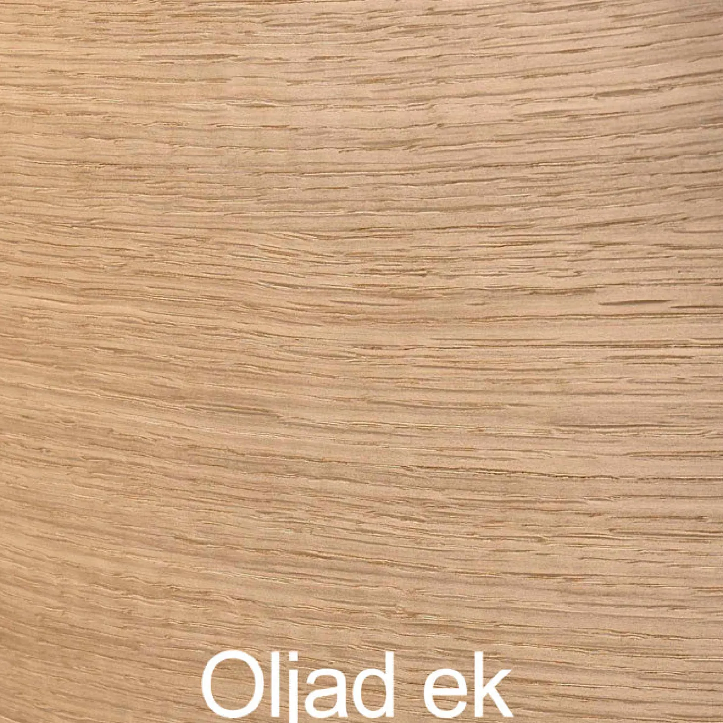 Alius Stol