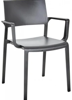 Arket Cafégrupp 60cm ink 2st Lilibet Karmstolar Svart