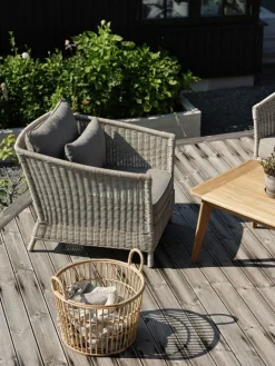 Aster Fåtölj