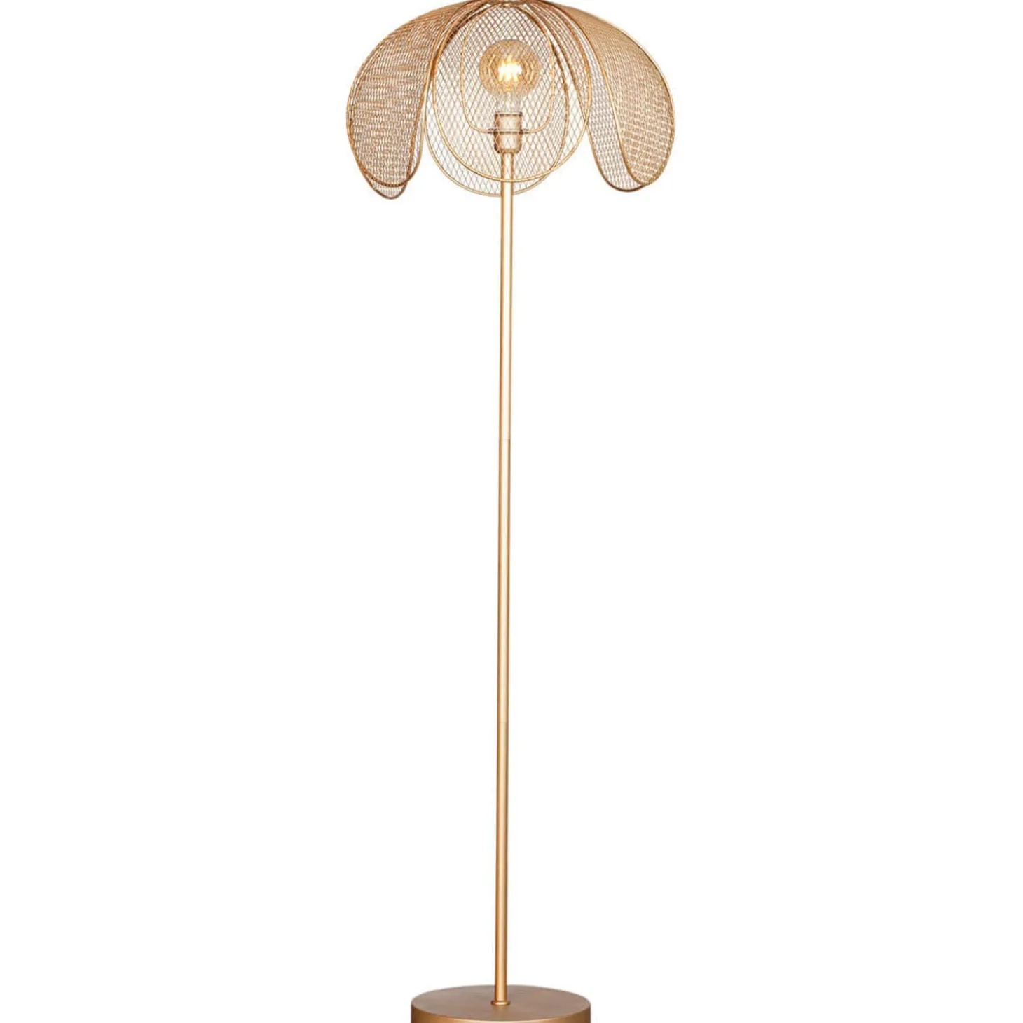 Daisy Golvlampa