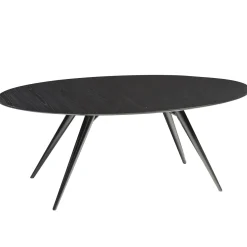 Eclipse Matbord 110x200-300 cm Ovalt