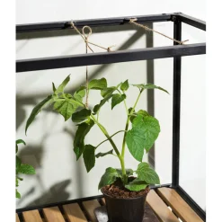 Grower Greens Växtskåp Dusty Green 81x41x137 cm