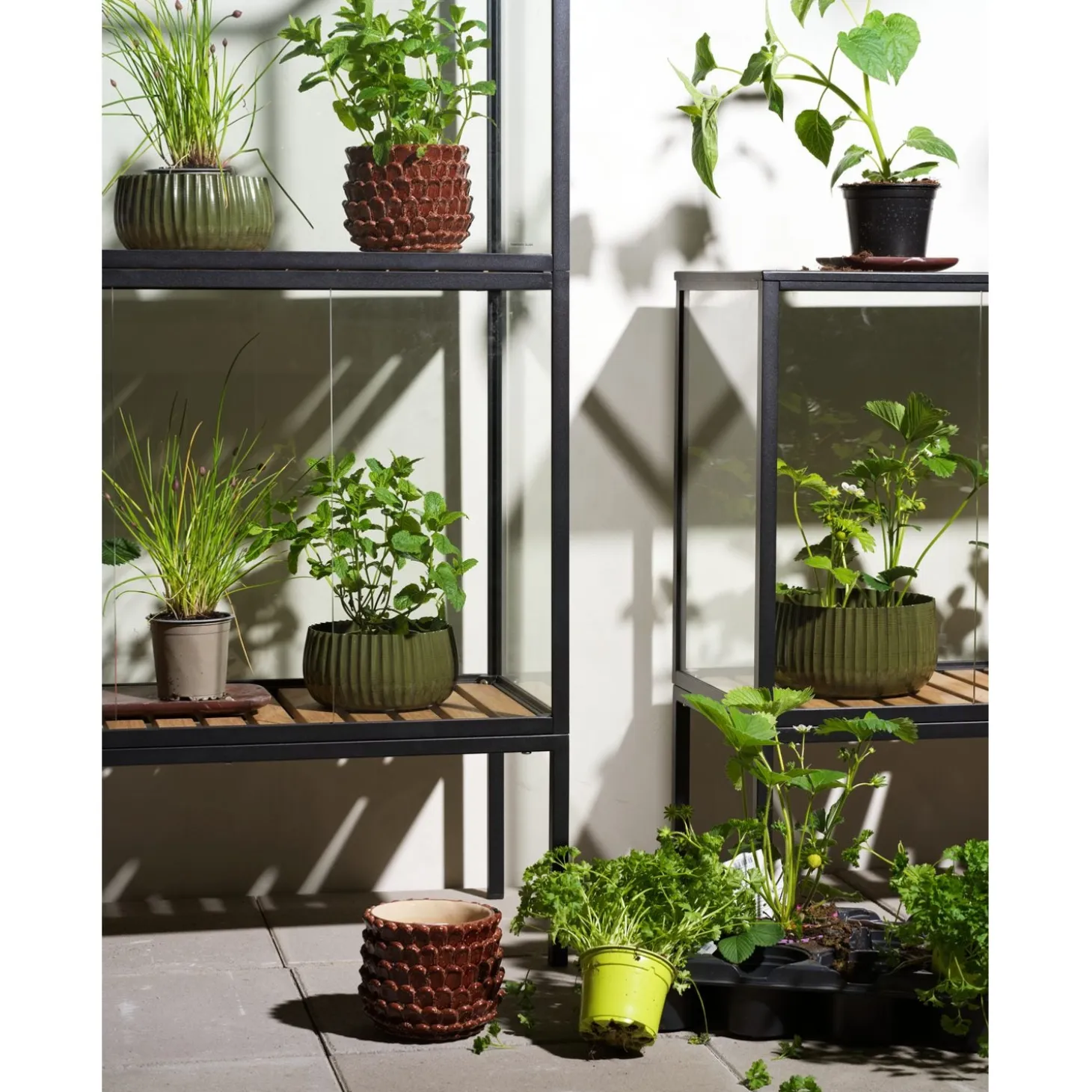 Grower Greens Växtskåp Svart 81x41x82 cm