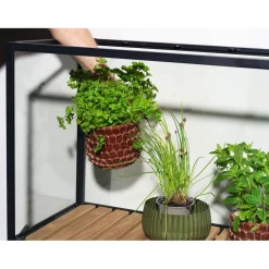 Grower Greens Växtskåp Svart 81x41x137 cm