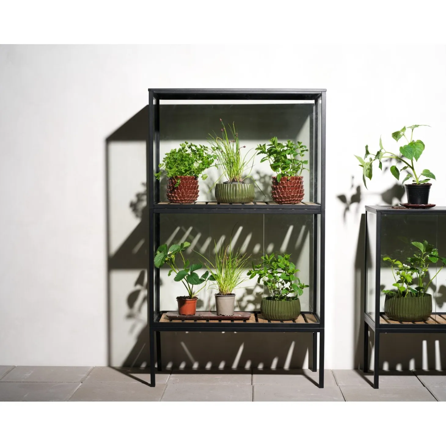 Grower Greens Växtskåp Svart 81x41x137 cm