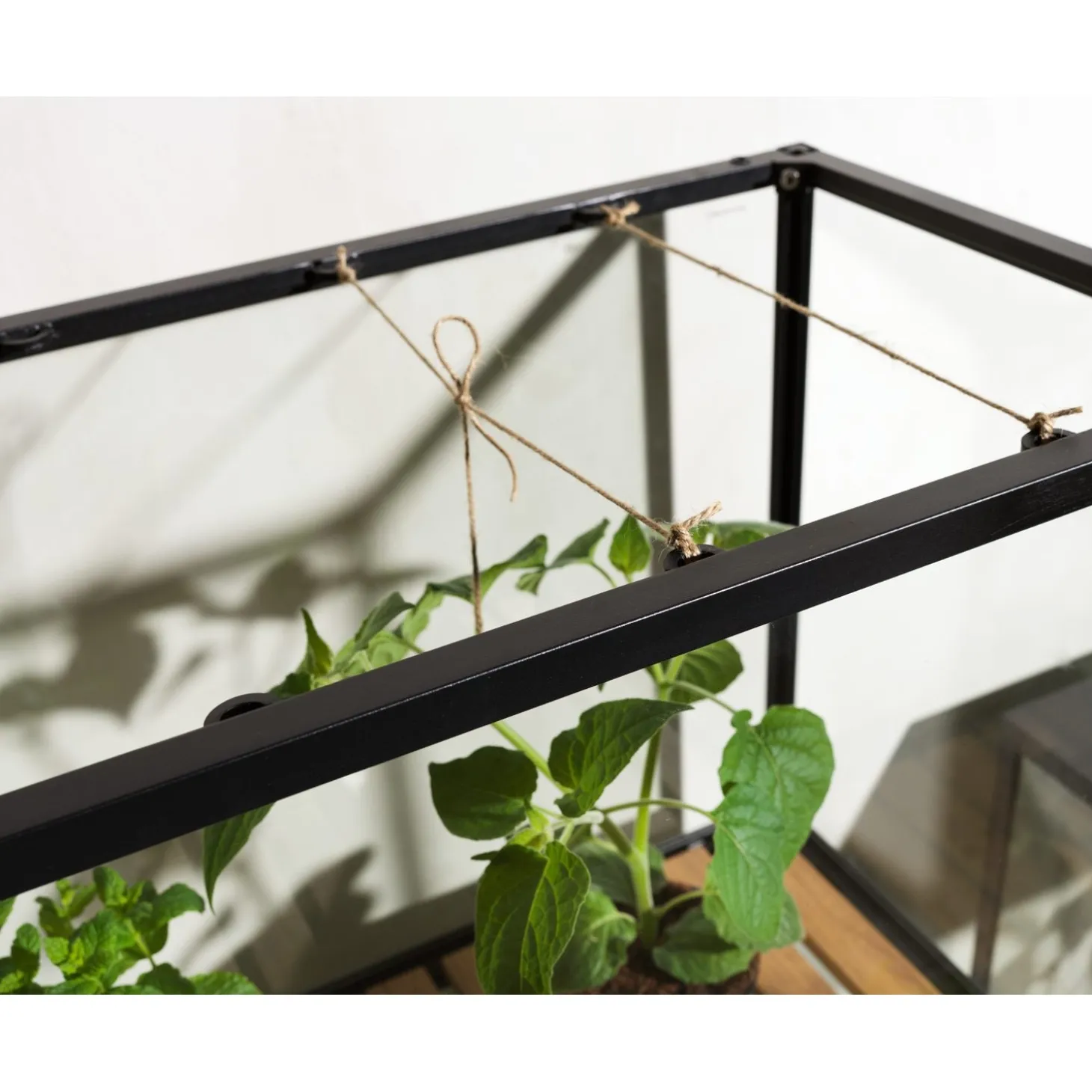 Grower Greens Växtskåp Svart 81x41x137 cm