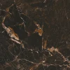 Icaro Matbord 100x250cm