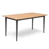 Lerdala Utebord 160x90 cm Natur