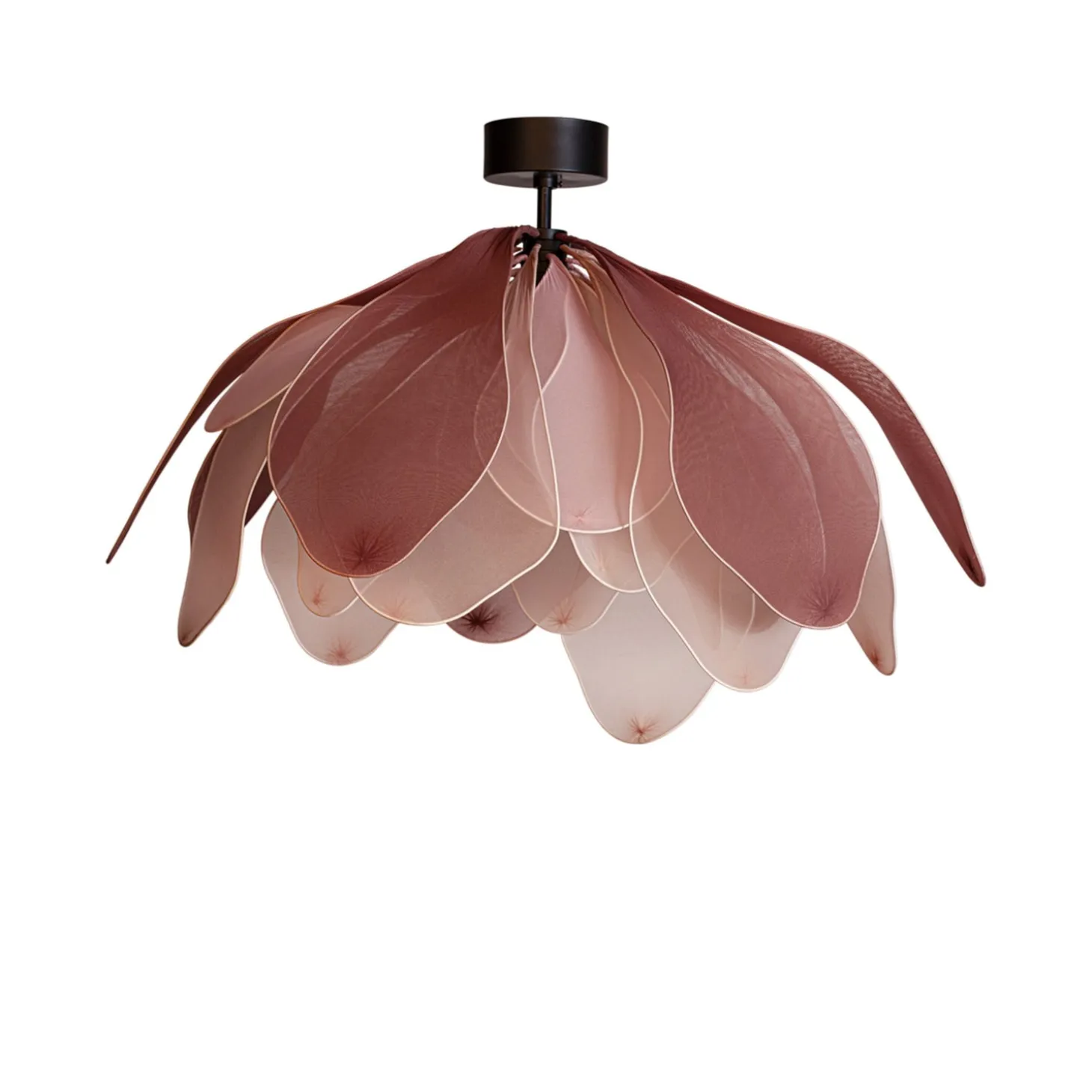 Lou Lou Plafond Rosa