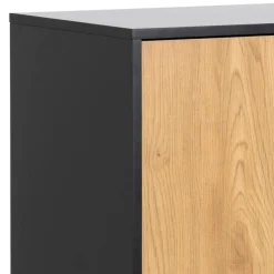 Notting Hill Sideboard 2 lådor 103x80x40 cm Svart/Ek