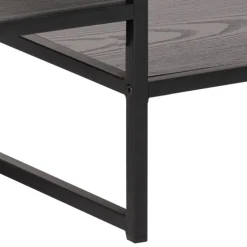 Notting Hill TV-bänk 120x33 cm Svart Ask