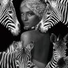 Zebra Queen 120x120cm Glas